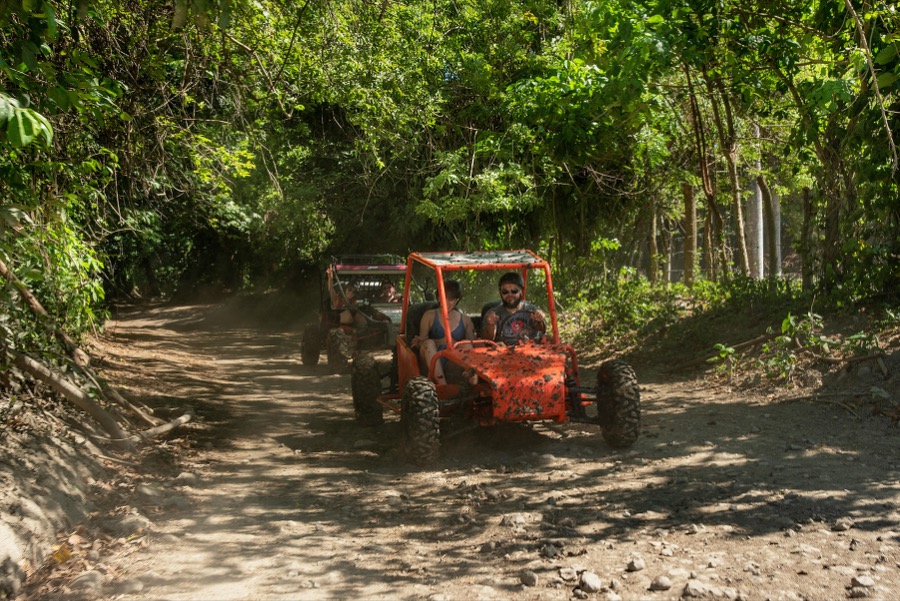Jungle ATV