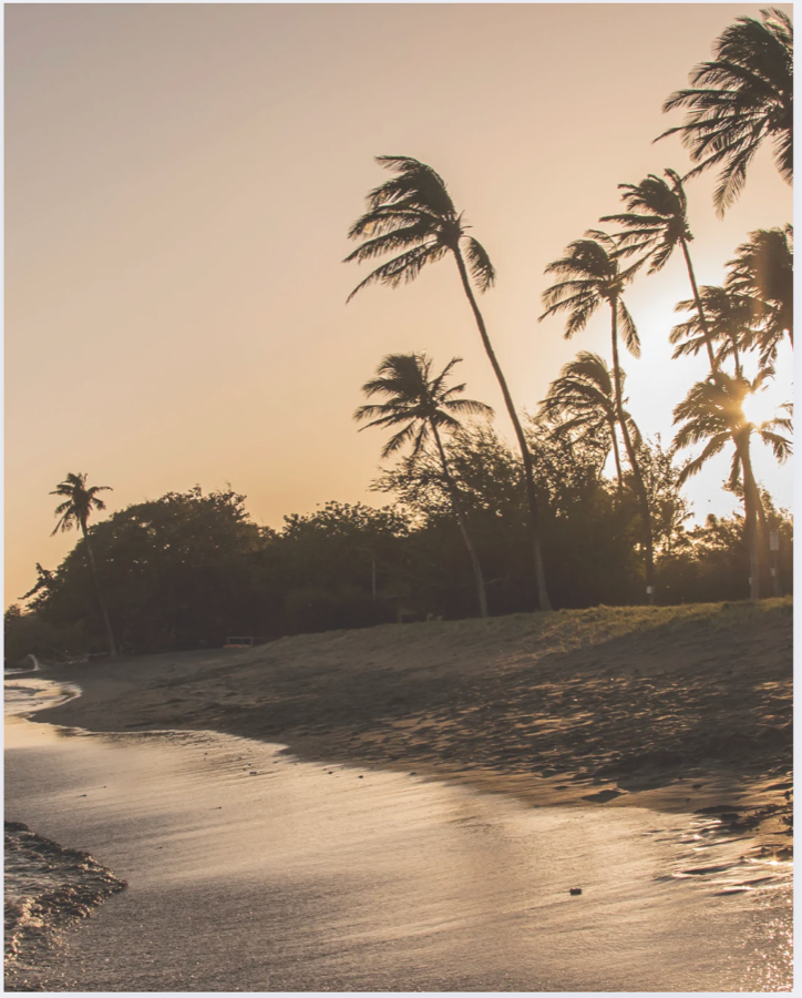 Beach sunset
