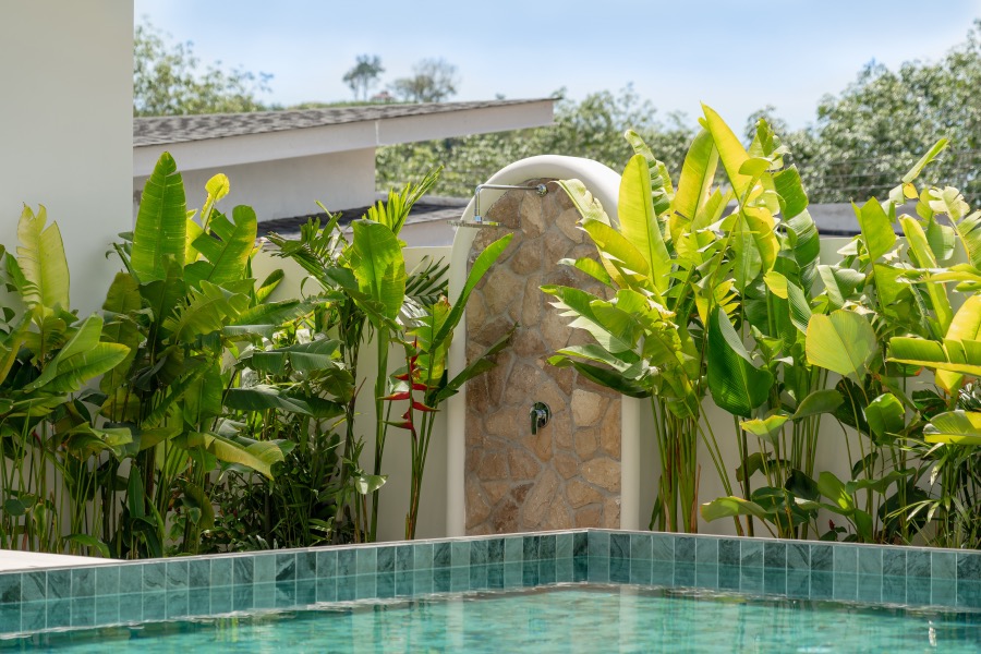 Tropical garden