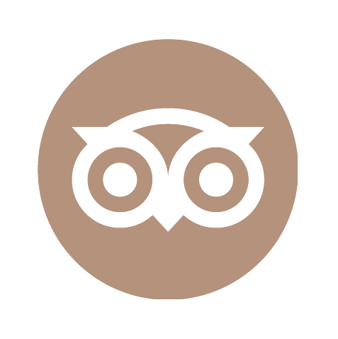 TripAdvisor