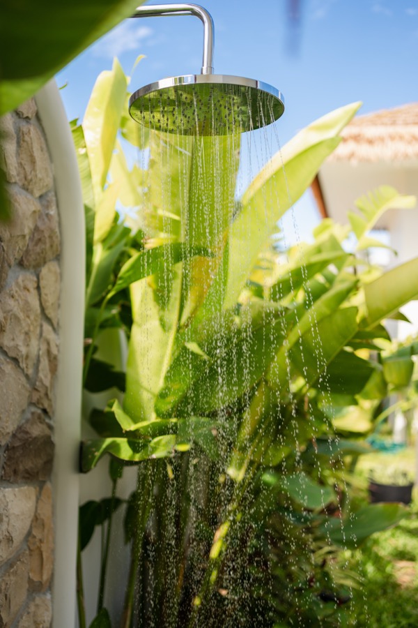 Tropical garden