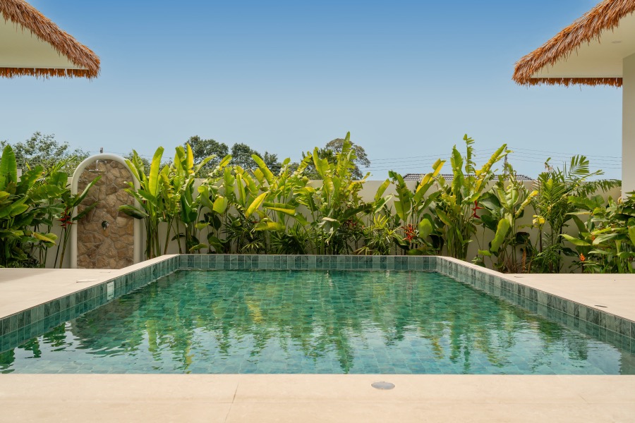 Pool and tropical garden