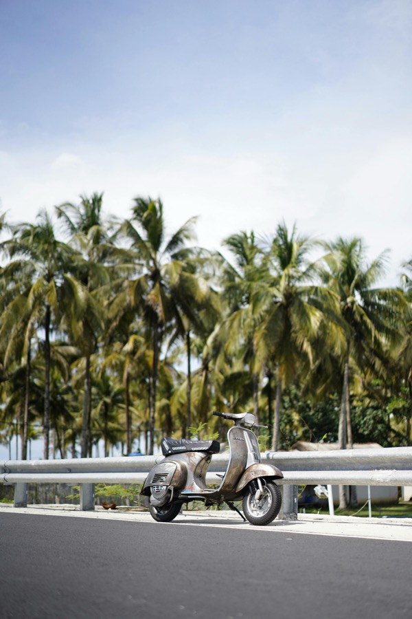 Scooter and palm trees