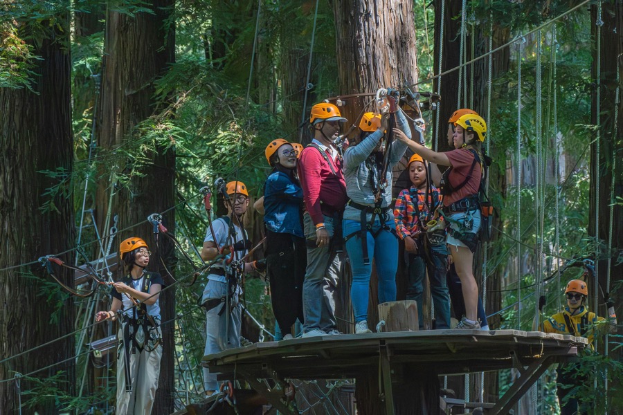 Zipline
